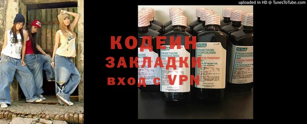 крисы Абаза