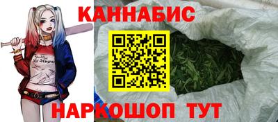 гашик Брянск