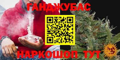 гашик Брянск