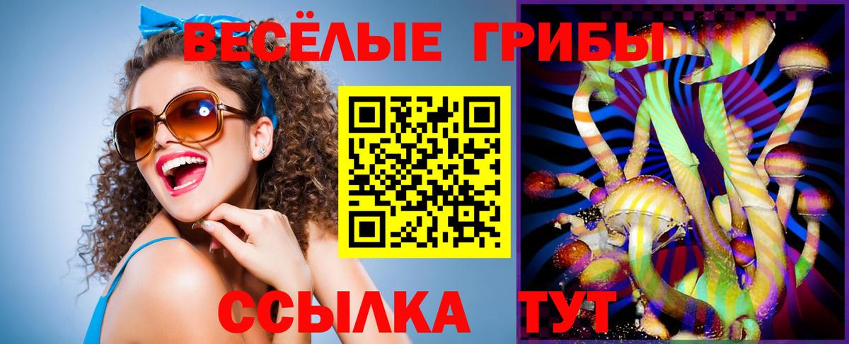 Бийск  Галлюциногенные грибы GOLDEN TEACHER  Вход с VPN 